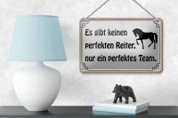 Blechschild Spruch 18x12cm es gibt keinen perfekten Reiter