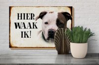 Holzschild Spruch 30x20cm holländisch Hier Waak ik American Pitbull Terrier