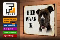 Holzschild Spruch 30x20cm holländisch Hier Waak ik Pitbull Terrier