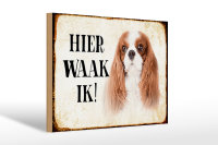 Holzschild Spruch 30x20cm holländisch Hier Waak ik...
