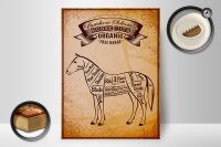 Holzschild Pferd 30x40cm Horse cuts Organic Metzgerei