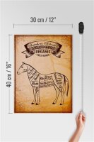 Holzschild Pferd 30x40cm Horse cuts Organic Metzgerei