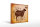 Holzschild Lamm 40x30cm Lamb cuts Organic Metzgerei