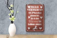 Blechschild Spruch 12x18cm Vertrauen eines Pferdes Freund