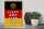 Holzschild Spruch 30x40cm i cant keep calm i am an ossi