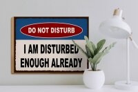 Holzschild Spruch 40x30cm do not disturb I am disturbed