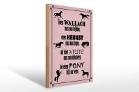 Holzschild Spruch 30x40cm Pferde Wallach Hengst Pony Stute