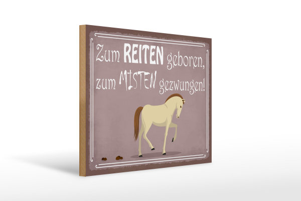 Holzschild Spruch 40x30cm zum Reiten geboren Pferd