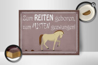 Holzschild Spruch 40x30cm zum Reiten geboren Pferd