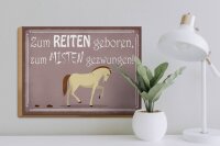 Holzschild Spruch 40x30cm zum Reiten geboren Pferd