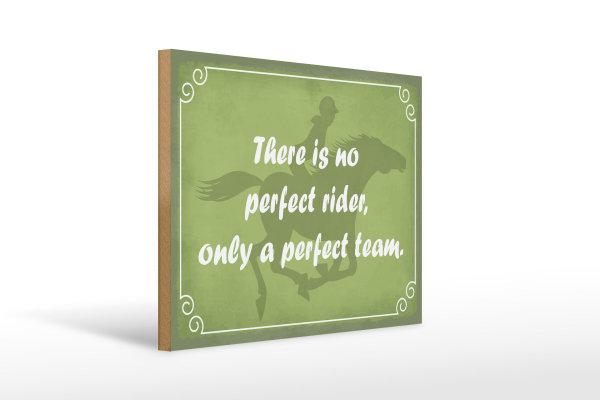 Holzschild Spruch 40x30cm there is no perfect rider only