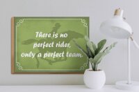 Holzschild Spruch 40x30cm there is no perfect rider only