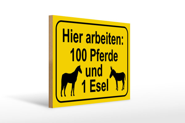 Holzschild Hinweis 40x30cm arbeiten 100 Pferde und 1 Esel
