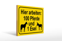 Holzschild Hinweis 40x30cm arbeiten 100 Pferde und 1 Esel