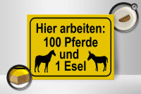 Holzschild Hinweis 40x30cm arbeiten 100 Pferde und 1 Esel