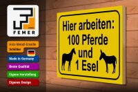 Holzschild Hinweis 40x30cm arbeiten 100 Pferde und 1 Esel