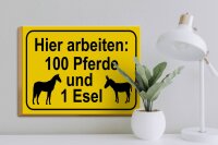 Holzschild Hinweis 40x30cm arbeiten 100 Pferde und 1 Esel