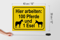 Holzschild Hinweis 40x30cm arbeiten 100 Pferde und 1 Esel