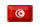 Blechschild Flagge Tunesiens 18x12cm Flag of Tunisia Dekoration