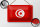Blechschild Flagge Tunesiens 18x12cm Flag of Tunisia Dekoration