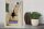 Holzschild Reise 30x40cm Greece Griechenland weiße Treppe Katze