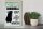 Holzschild Spruch 30x40cm Tiere Achtung Chinchilla Gebiet