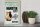Holzschild Spruch 30x40cm Tiere Achtung Hamster Gebiet