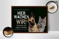 Holzschild Spruch 40x30cm Hund Katze hier wachen wir grünes Schild