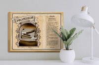 Holzschild Berufe 40x30cm Professor Optimist Wissen Mensch