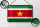 Blechschild Flagge Surinames 18x12cm Retro Flag of Suriname Dekoration