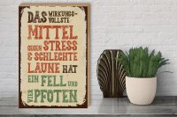 Holzschild Spruch Tiere Mittel gegen Stress 4 Pfoten 30x40cm