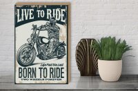 Holzschild Spruch Biker Motorrad born to ride 30x40cm