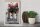 Holzschild Reise 30x40cm Mojacar Spain Spanien Blumen Geschenk
