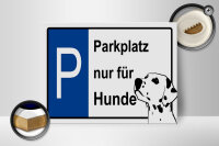 Holzschild Hinweis 40x30cm Parkplatz nur für Hunde