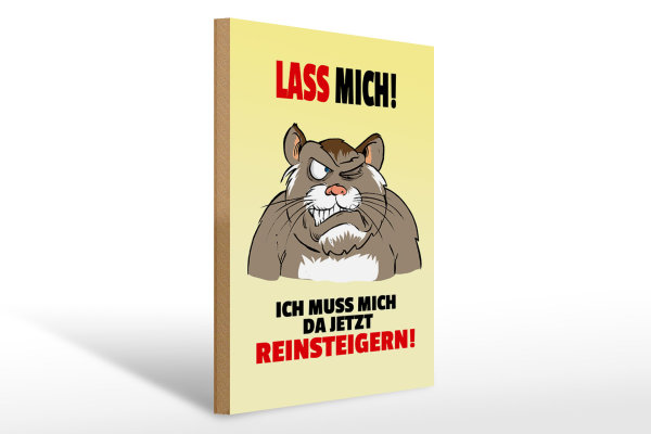 Holzschild Spruch 30x40cm Lass mich Muss mich da reinsteigern