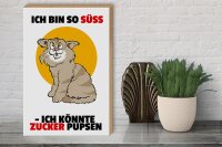 Holzschild Spruch 30x40cm Bin süß könnte Zucker pupsen (Katze)