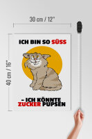 Holzschild Spruch 30x40cm Bin süß könnte Zucker pupsen (Katze)