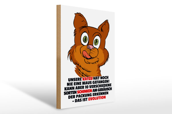 Holzschild Spruch 30x40cm Katze hat noch nie Maus gefangen