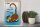 Holzschild Spruch 30x40cm A cat makes you happy every day