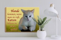 Holzschild Spruch 40x30cm Hunde kommen Katzen kehren zurück