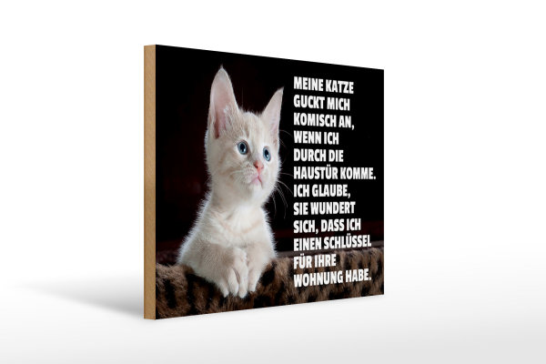 Holzschild Spruch 40x30cm Katze guckt mich komisch an