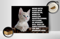 Holzschild Spruch 40x30cm Katze guckt mich komisch an