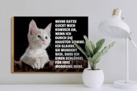 Holzschild Spruch 40x30cm Katze guckt mich komisch an