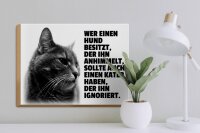 Holzschild Spruch 40x30cm Hund himmelt an Kater ignoriert