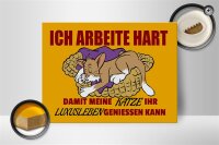 Holzschild Spruch 40x30cm Arbeite damit Katze Luxusleben hat
