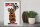 Holzschild Spruch 30x40cm Dont tell me from the horse