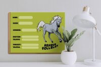Holzschild Pferd 40x30cm Araber Vollblut Name Besitzer