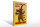 Holzschild Alkohol 30x40cm liebe Wein bin ein Weinhorn