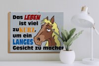Holzschild Spruch 40x30cm das Leben ist zu kurz um Pferd