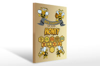 Holzschild Spruch 30x40cm Bee happy eat more honey Honig